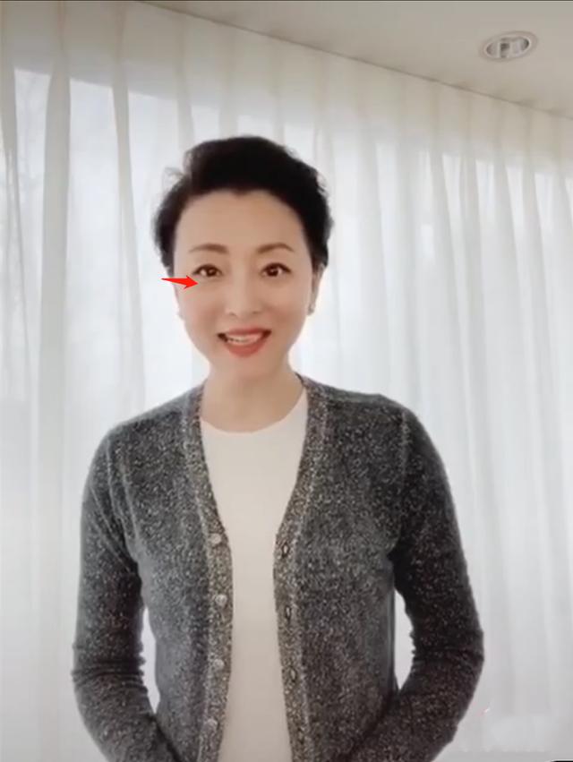 51岁杨澜近照脱发迹象严重露头皮 杨澜丈夫吴征简介