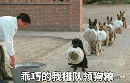 gai的老婆王斯然是哪里人 太宠了这狗粮嗑到吐血