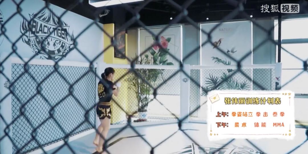 张伟丽卫冕金腰带 让全世界黑粉闭嘴