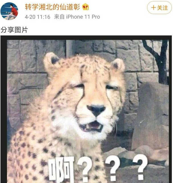屈楚萧否认恋情怎么回事 敢做不敢认真是服了
