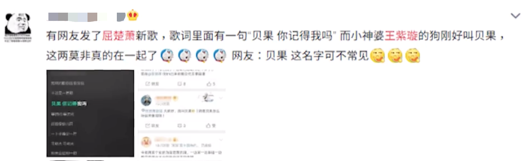 屈楚萧否认恋情怎么回事 敢做不敢认真是服了