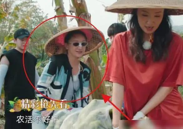 黄磊叫周迅妞妞是什么情况 原来他们的关系是这么好