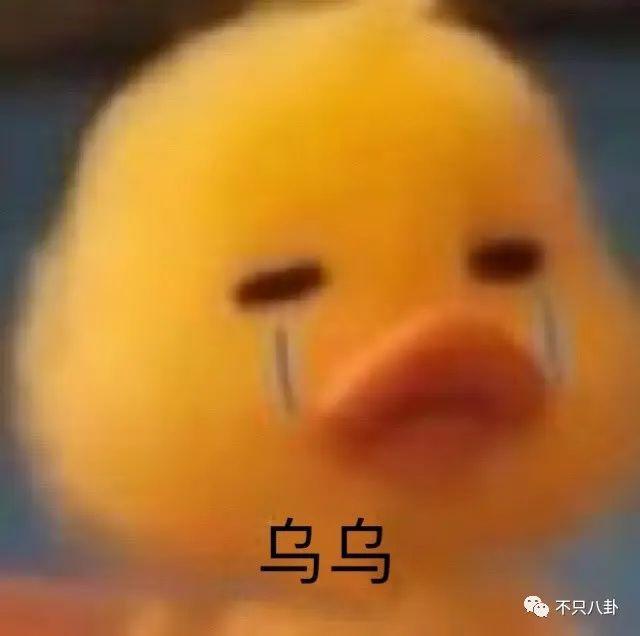 白冰前夫回应离婚怎么说的 伤心往事竟然如此狗血毁三观