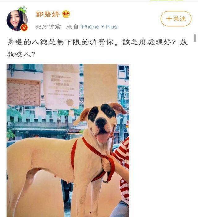向太安慰郭碧婷说了啥 看出来真的超级喜欢碧婷