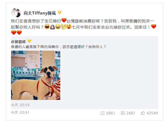 向太安慰郭碧婷说了啥 看出来真的超级喜欢碧婷