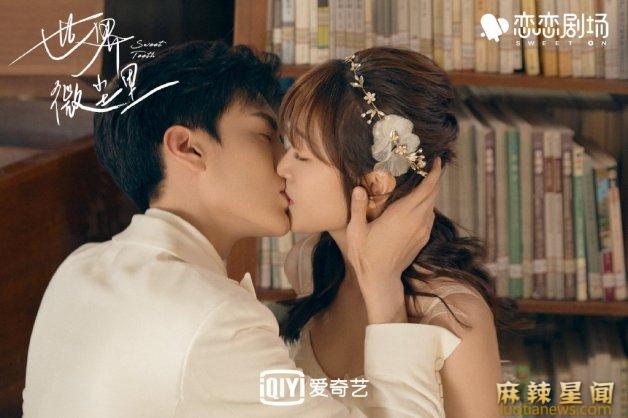 师生恋的电视剧有哪些 完美先生与独家记忆这2部最经典