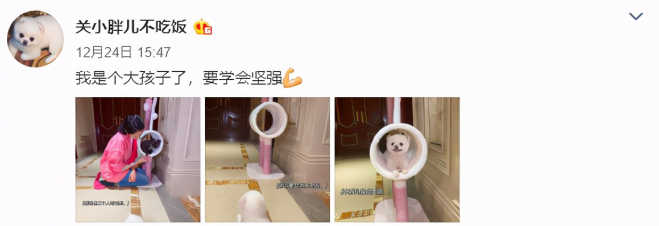 鹿晗关晓彤分手原因是什么 陈赫留言揭晓真相