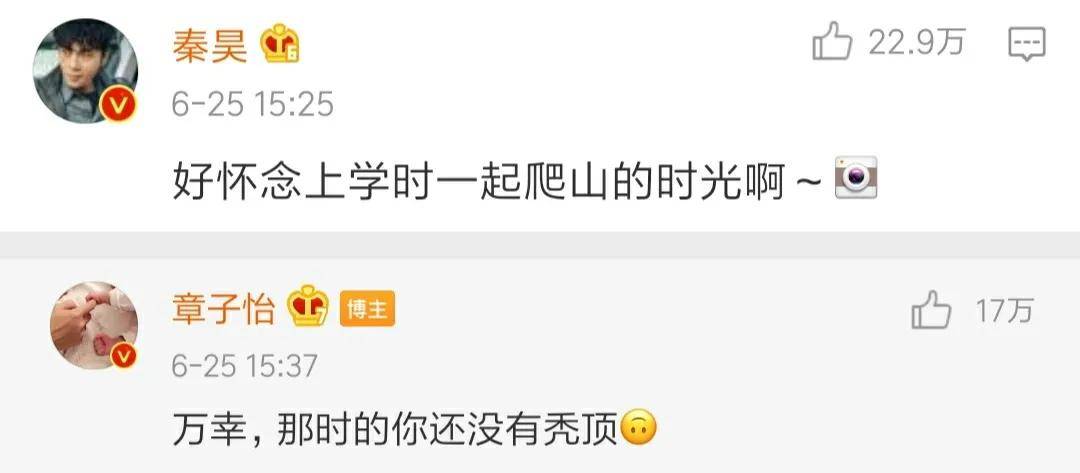隐秘的角落豆瓣评分多少 隐秘的角落结局什么意思