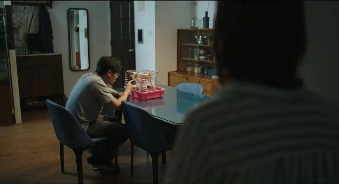 隐秘的角落豆瓣评分多少 隐秘的角落结局什么意思