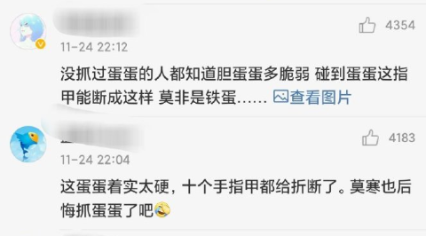 张培萌家暴事件反转了 抵制家暴从我做起