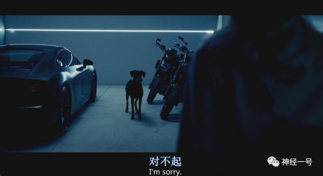 逃离PUA渣男 集科幻惊悚恐怖与一体的隐形人