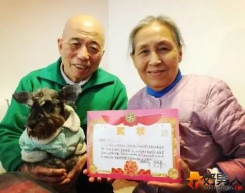 白百何恋情回顾 未来前途还是非常可期