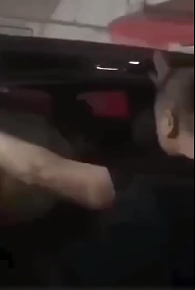 Фս����ʷ�ֱ��� ���Է�˿��ܲ��ܲ���Ѹ���뿪