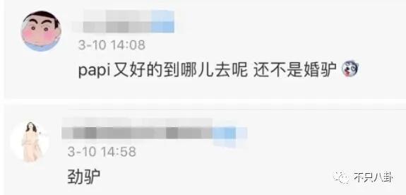papi酱因孩子随父姓被网友嘲笑 被道德绑架的感觉好惨