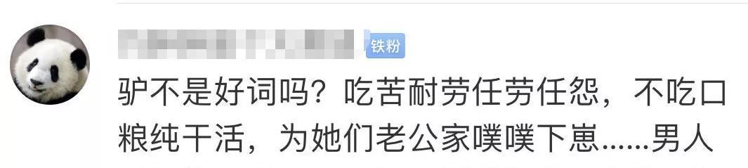 papi酱因孩子随父姓被网友嘲笑 被道德绑架的感觉好惨