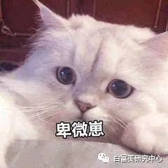 赞助baby婚礼和多位男星关系亲密 她背景成谜
