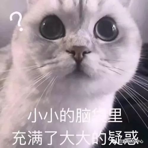 赞助baby婚礼和多位男星关系亲密 她背景成谜