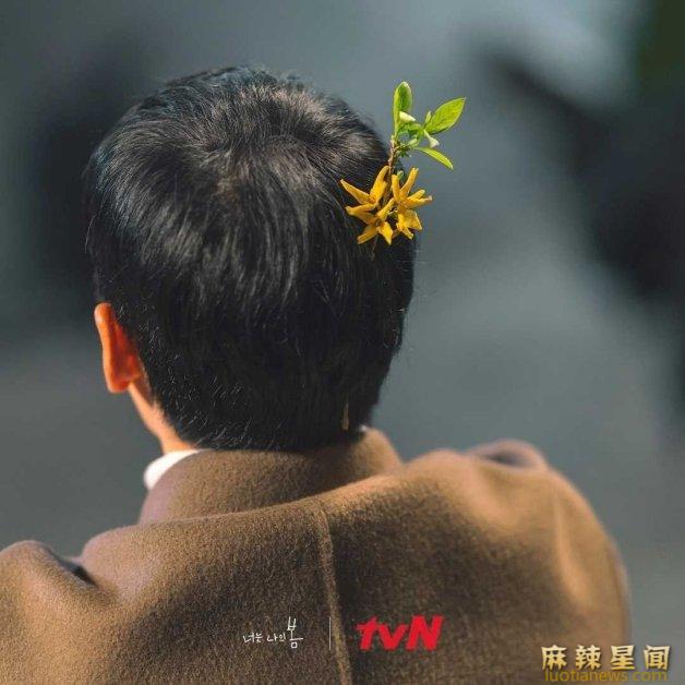 你是我的春天经典台词 这34个疗愈金句戳中人心