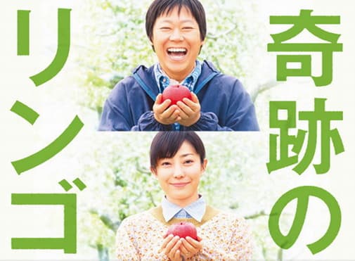好感度超高影后 菅野美穗15部日剧电影代表作