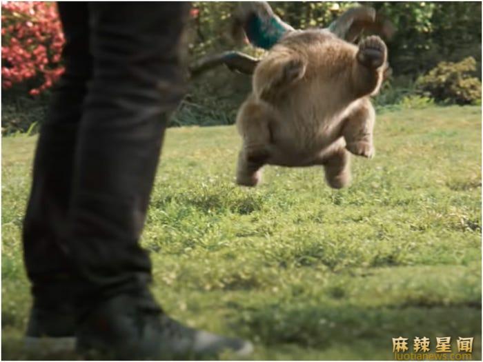 尚气与十环传奇的8个彩蛋 王正为什么现身地下格斗场
