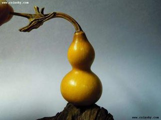 ��ţ�Ƶ������«ͼƬ,�̳�Ư�������«��5������