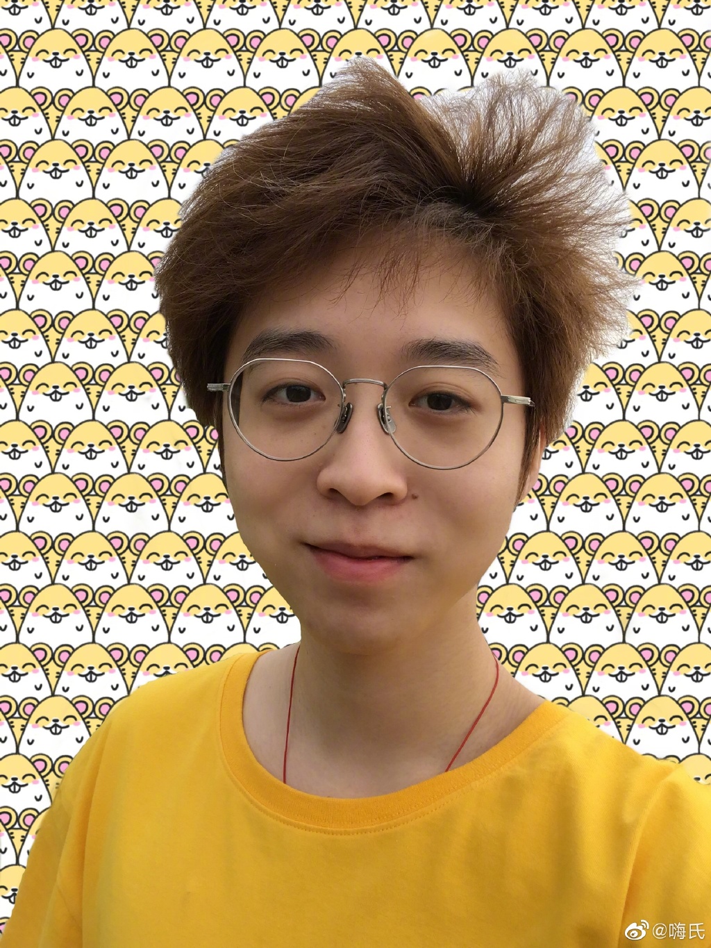 ϵ4900Ϊʲôģ