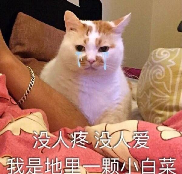 男人右眼跳是财还是灾,眼皮跳的科学解释是什么