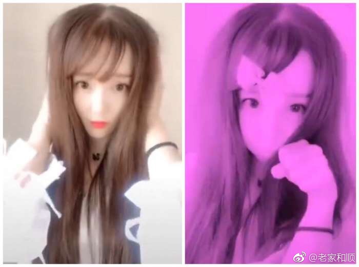 葬爱家族创始人为什么坐牢?2018葬爱家族回归是什么梗
