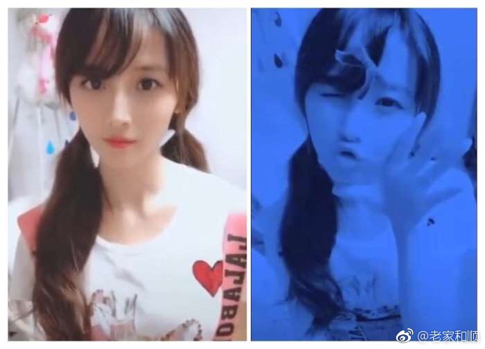 葬爱家族创始人为什么坐牢?2018葬爱家族回归是什么梗
