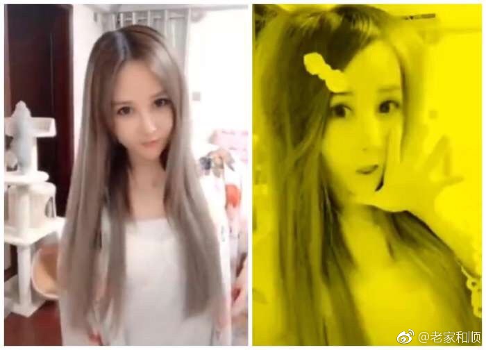 葬爱家族创始人为什么坐牢?2018葬爱家族回归是什么梗