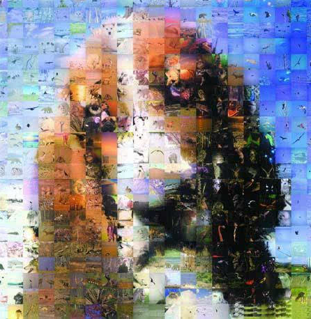 ֲѧͼƬѧΪʲôǿѧ
