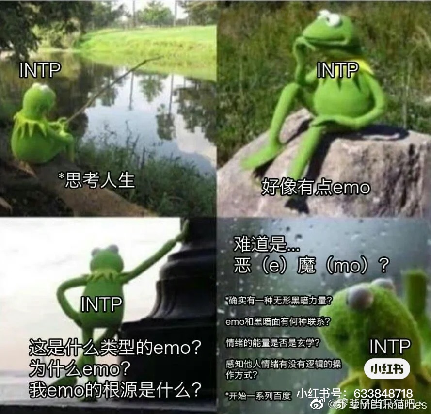 INTP˸ʺϵ˷INTPõһ˸