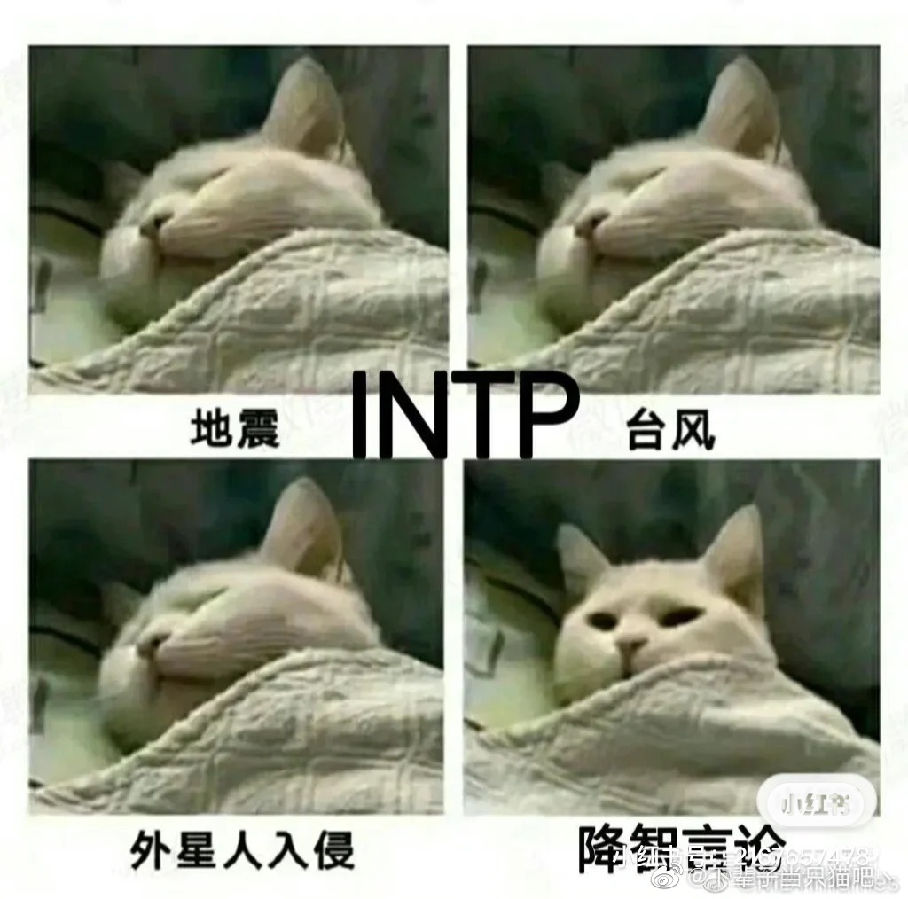 INTP˸ʺϵ˷INTPõһ˸