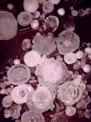 世界上最大的冰雹图片,下冰雹砸车视屏和图片