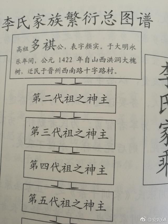 山西洪洞县大槐树多少岁了?到大槐树后怎么查找家谱