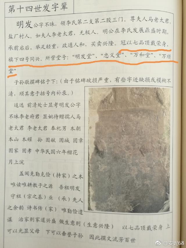 山西洪洞县大槐树多少岁了?到大槐树后怎么查找家谱