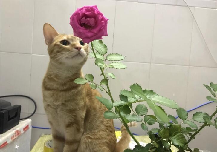 VȦľʲô˼ʥľʹʲô˼