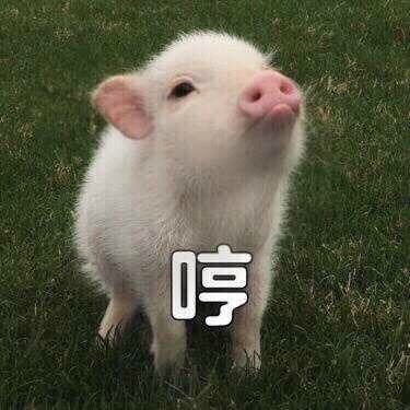 Ů˵ʲô˼Ůѷôظ