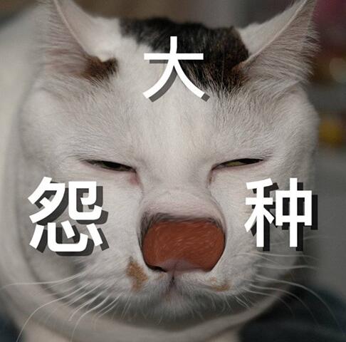 .jpgʲô˼