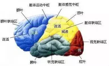 许昕为什么是盲打?许昕姚彦骂刘诗雯是咋回事