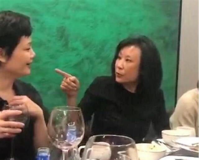 苏小明是苏振华的女儿吗,苏小明杨烁是什么关系?