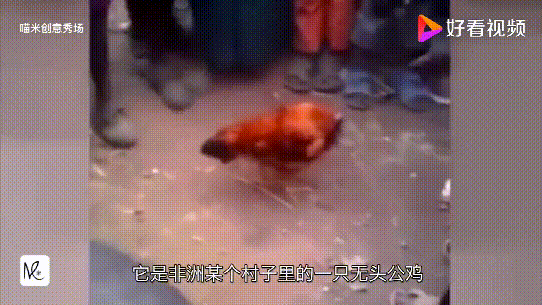 ��ͷ��Ϊ���ܻ�18������ô��ʳ�ģ���ͷ����̬ͼƬ����