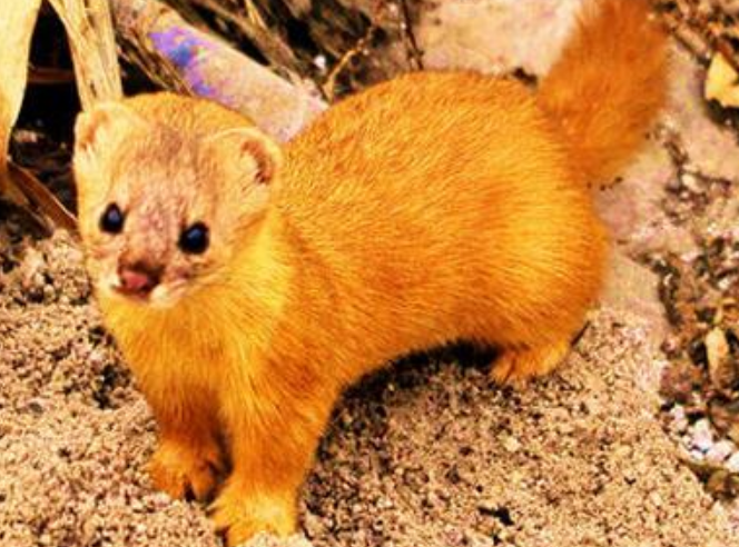 ������Ϊʲô�ܿ����ˣ������ǽ����Ǽ�������