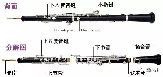 世界上最难的乐器是什么?最难学的乐器排名