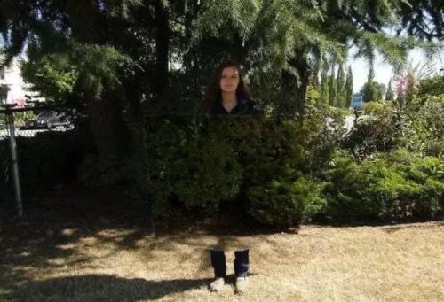 �Ա�����������������������������ʲôԭ��