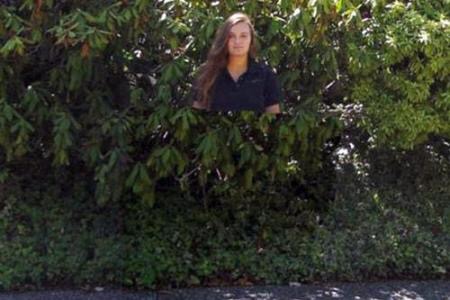 �Ա�����������������������������ʲôԭ��