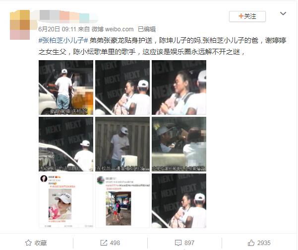 张豪龙和张柏芝是双胞胎吗,张豪龙为什么那么矮?