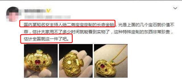 给谢娜的锁什么意思,谢娜还锁又是什么意思?