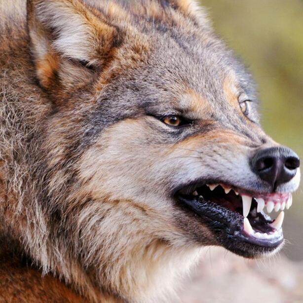 аСʲô