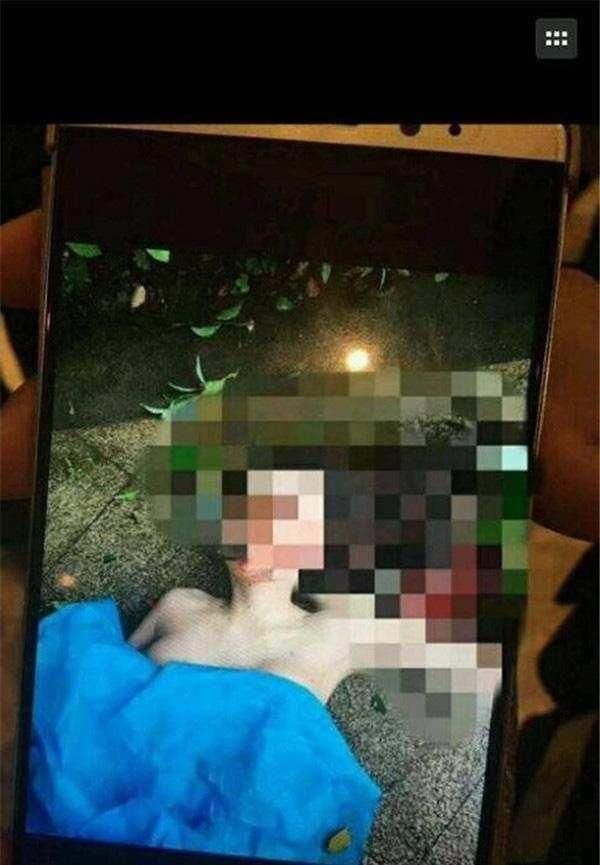 �ν�׹¥�����������������Σ������������ɶ̬�ȣ�